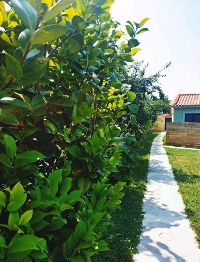 Casas Do Paco - Casas De Ferias Cabeceiras de Basto Dış mekan fotoğraf