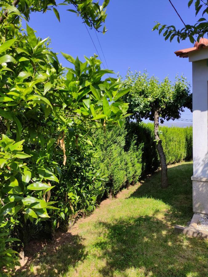 Casas Do Paco - Casas De Ferias Cabeceiras de Basto Dış mekan fotoğraf