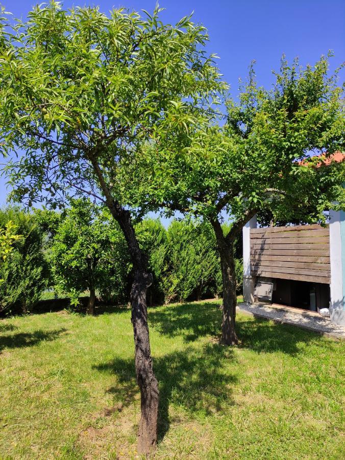 Casas Do Paco - Casas De Ferias Cabeceiras de Basto Dış mekan fotoğraf