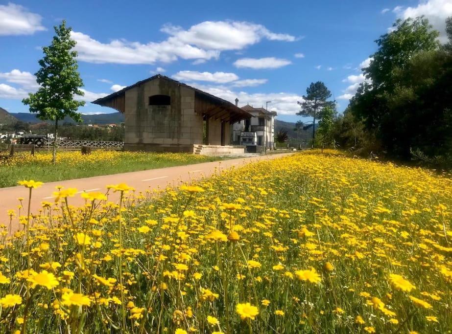 Casas Do Paco - Casas De Ferias Cabeceiras de Basto Dış mekan fotoğraf